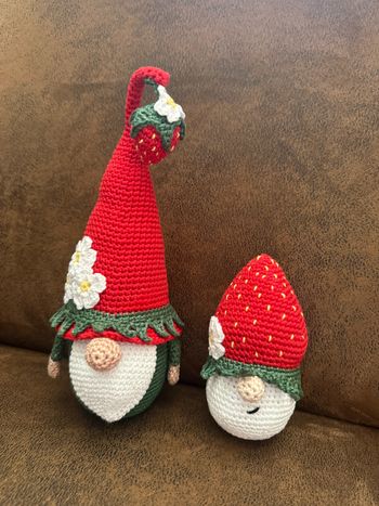 Ensemble gnomes  fraise