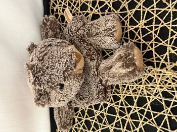 Doudou marionnette castor marmotte RODA