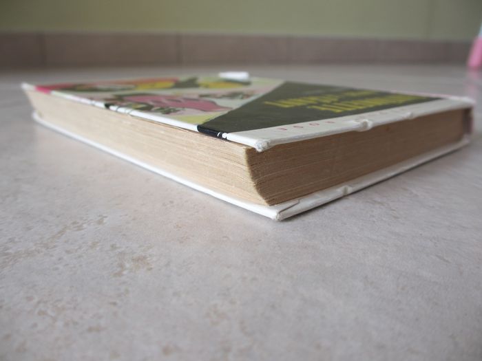 Livre enfant Fantômette contre le géant - photo numéro 4