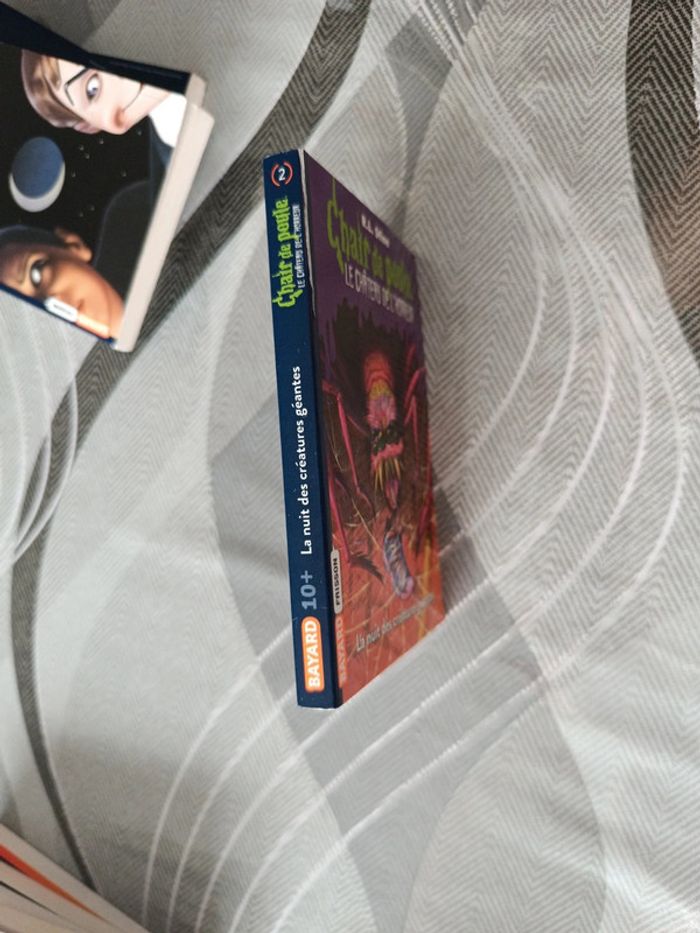 Livre chair de poule - photo numéro 5