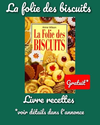 Livre recettes cuisine La folie des biscuits Anne Wilson