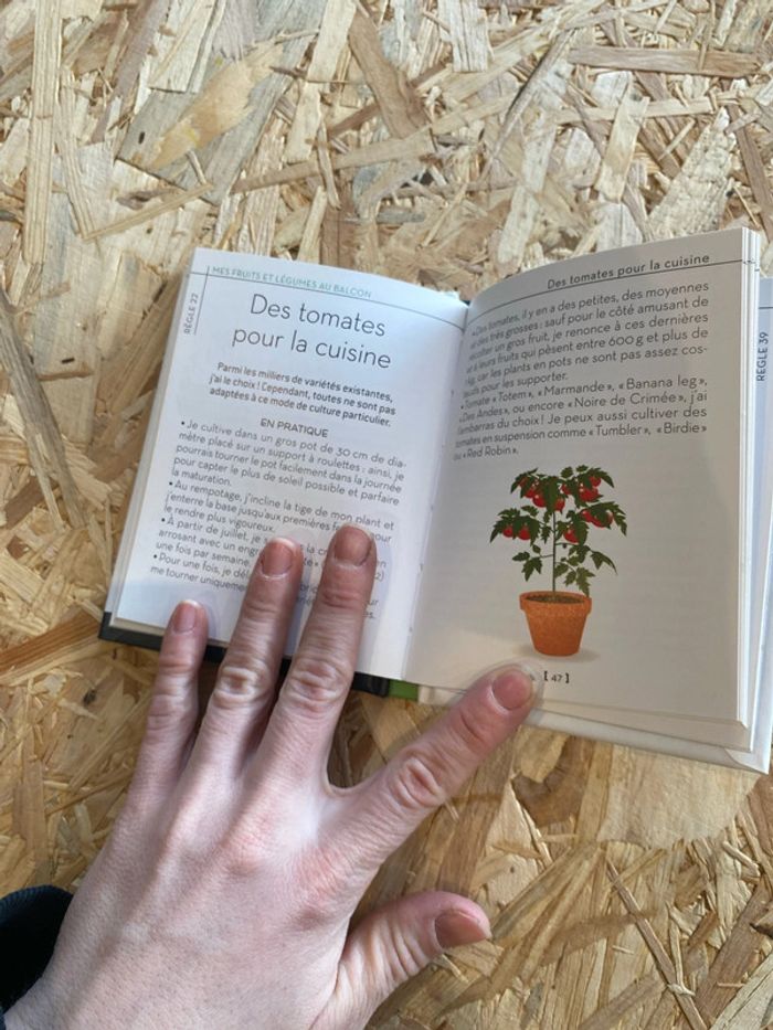 Livre « Les 50 règles d’or pour réussir son potager sur son balcon » - photo numéro 4