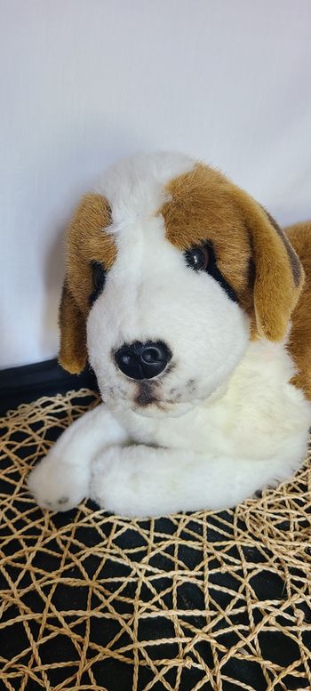 peluche saint bernard