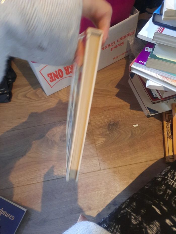 Livre art les impressionniste p j - photo numéro 4