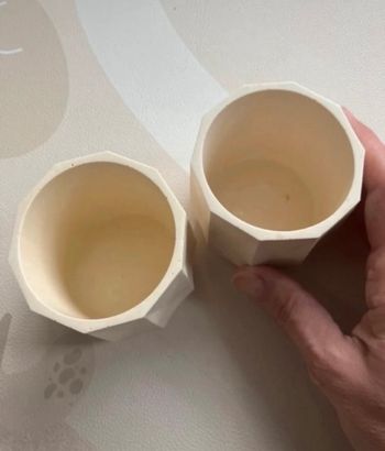 Petit pot plante grasse 