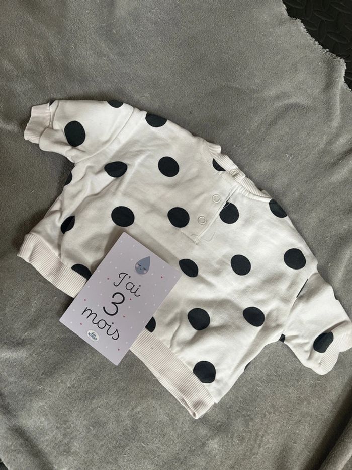 Pull chou Orchestra - photo numéro 3