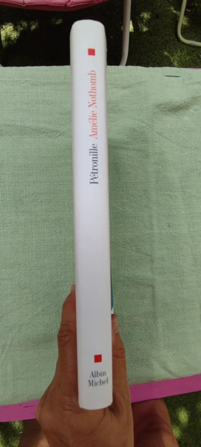 Livre Pétronille d'Amélie Nothomb - photo numéro 3