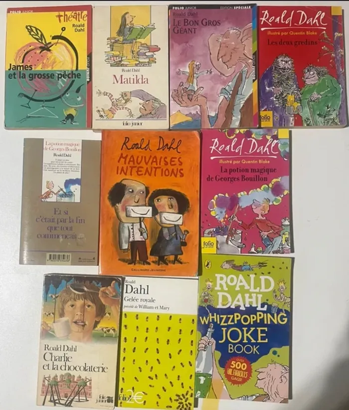 Lot de 10 livres Ronald Dahl pour ado ou plus