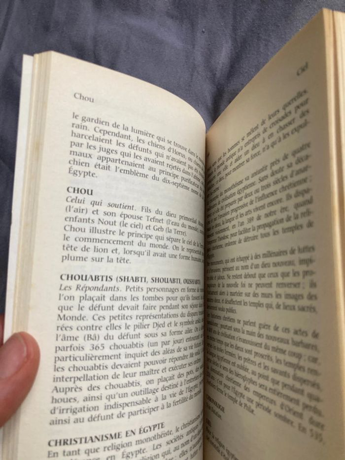 Dictionnaire historique de l’Égypte - photo numéro 5