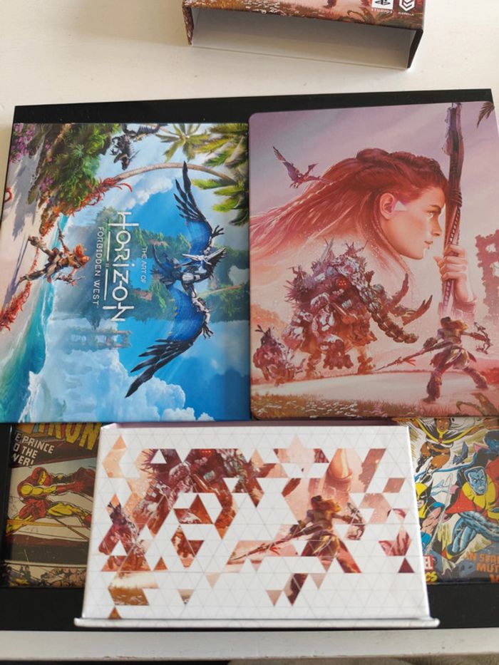 Horizon Forbidden West Édition Spéciale PS5 - photo numéro 4