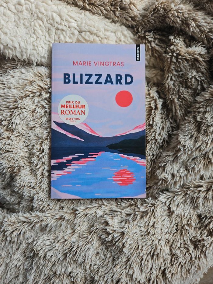 Livre Marie Vingtras