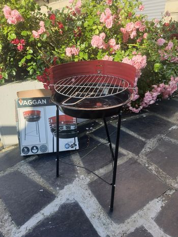 Barbecue à charbon transportable