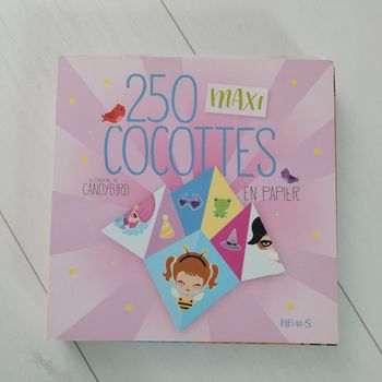 Livre 250 maxi cocottes en papier
