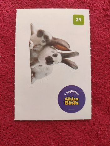 Carte nos amies les bêtes