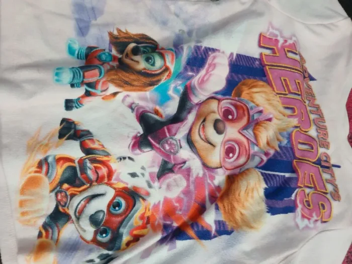 Lot pat patrouille fille - photo numéro 4