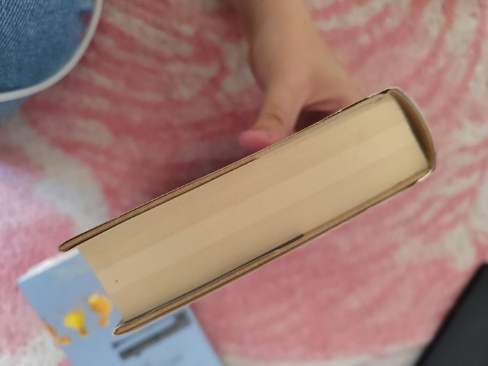 Lot de deux livres Claude Michelet - photo numéro 3