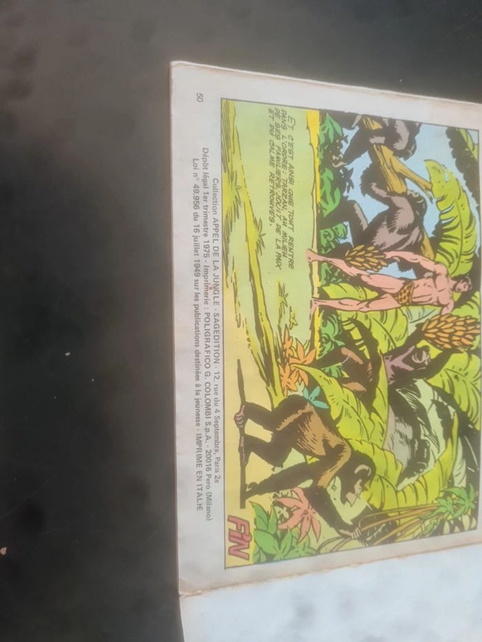 Tarzan le berceau des dieux - photo numéro 3