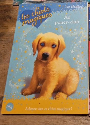 Livre les chiots magiques au poney club