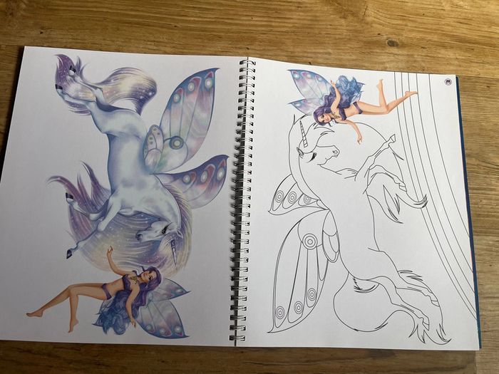 Livre autocollants/coloriage Fée et Licorne - photo numéro 3
