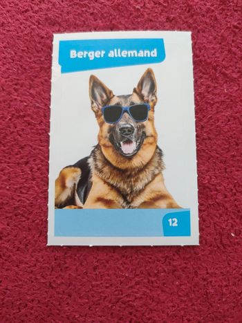 Carte nos amies les bêtes