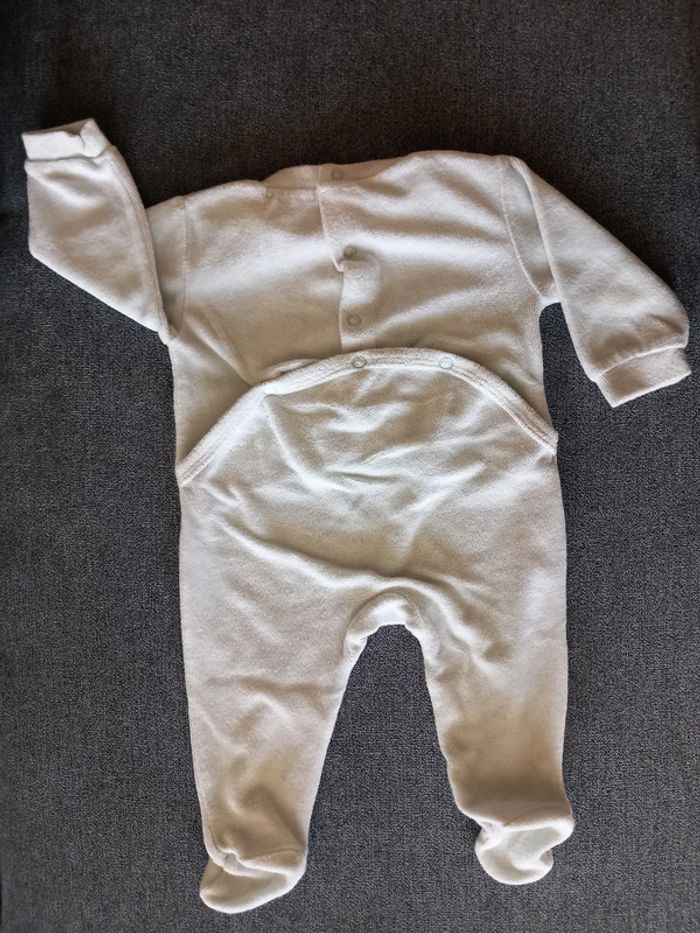 Grenouillère - Grain de Blé - photo numéro 3