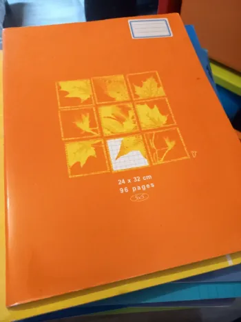 Cahier 24x32 petits carreaux 96 pages