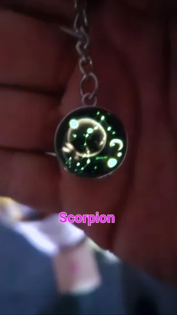 Porte-clés signe astrologique scorpion constellations