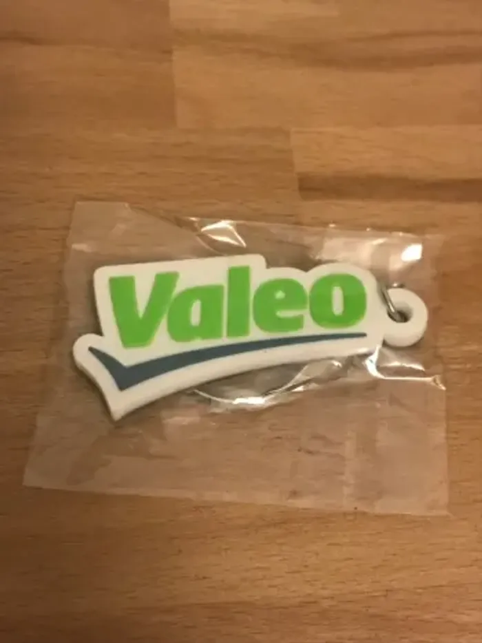 porte clé vert neuf toujours en sachet jamais utilisé