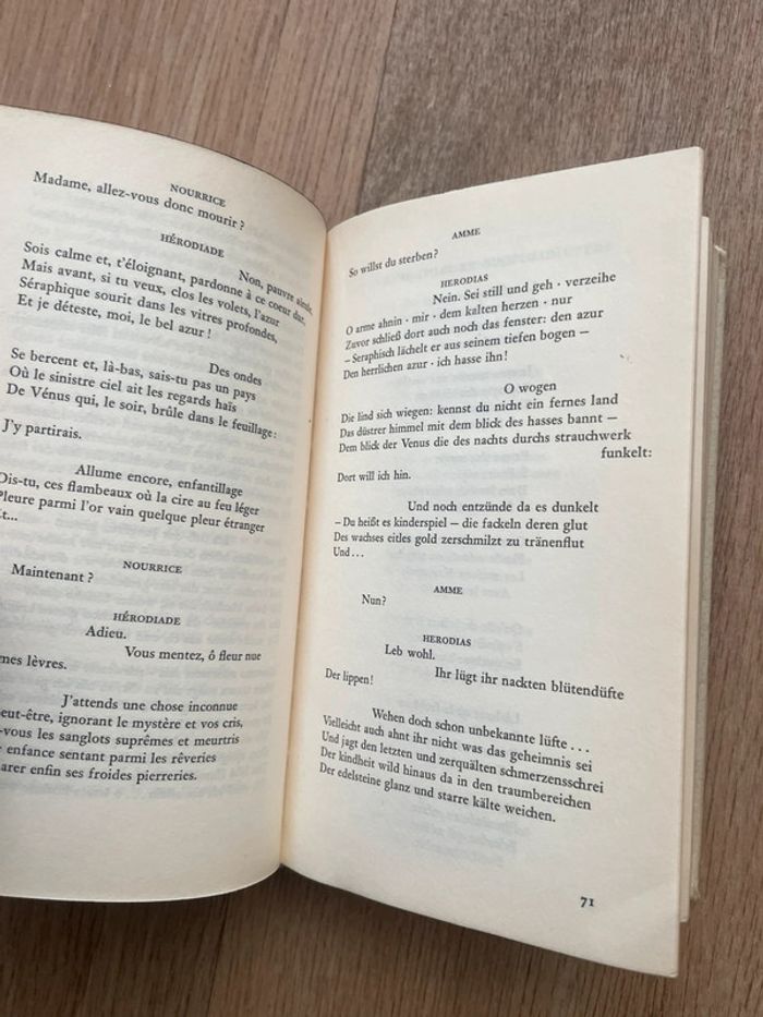 Sämtliche Gedichte - photo numéro 5