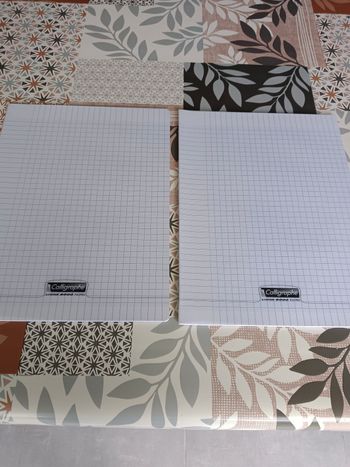 Lot de 2 cahiers 24x32 48 pages