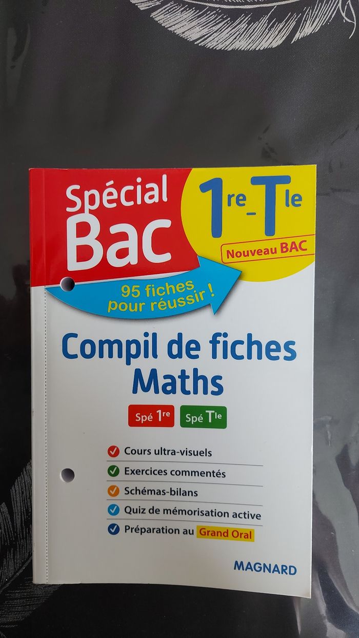 Fiches Spécial bac