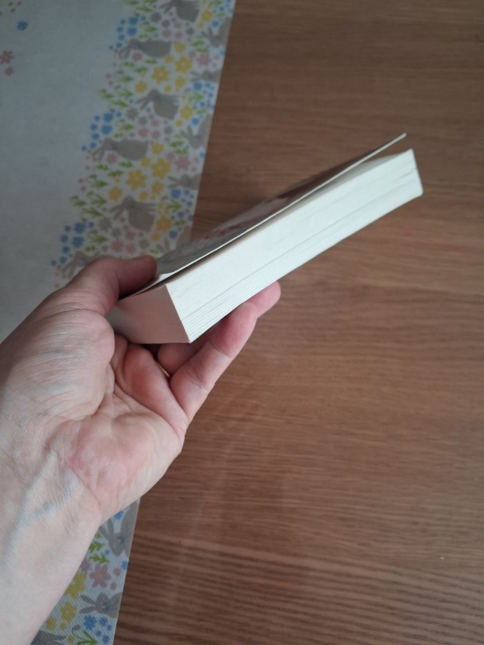 Livre Parfaite - photo numéro 4