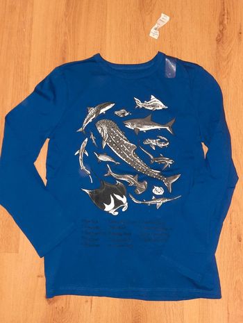 Tee shirt GAP bleu 140 146 cm