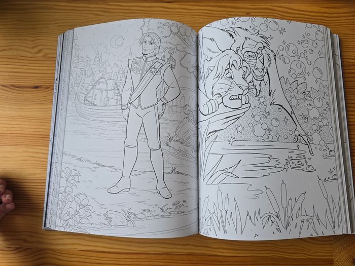 300 coloriages disney volume 2 - photo numéro 9