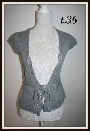 Gilet gris manches courtes