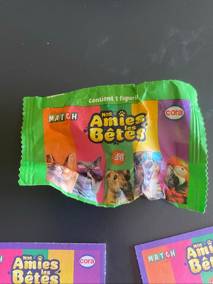 Cartes nos amis les bêtes - photo numéro 3