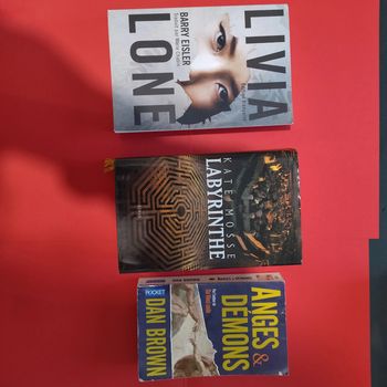 lot de 3 livres Dan Brown le labyrinthe Kate Mosse Livia Lone