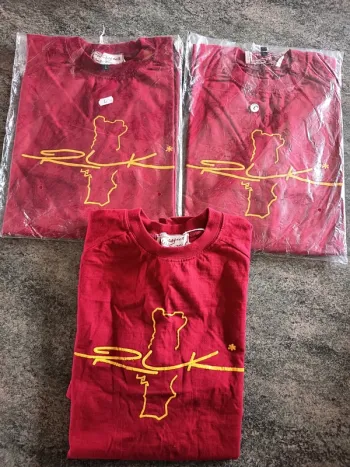 Lot de 3 t-shirts identiques taille L respect les kanail