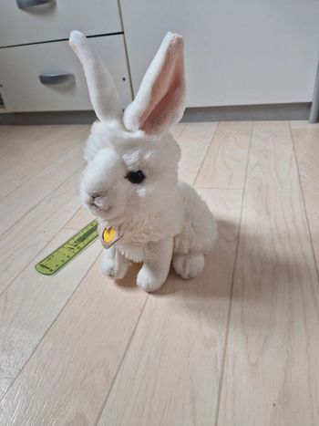 Peluche lapin plus et company