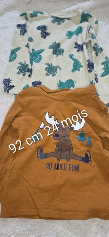 Lot 2 tee-shirts manches longues 24 mois 92 cm