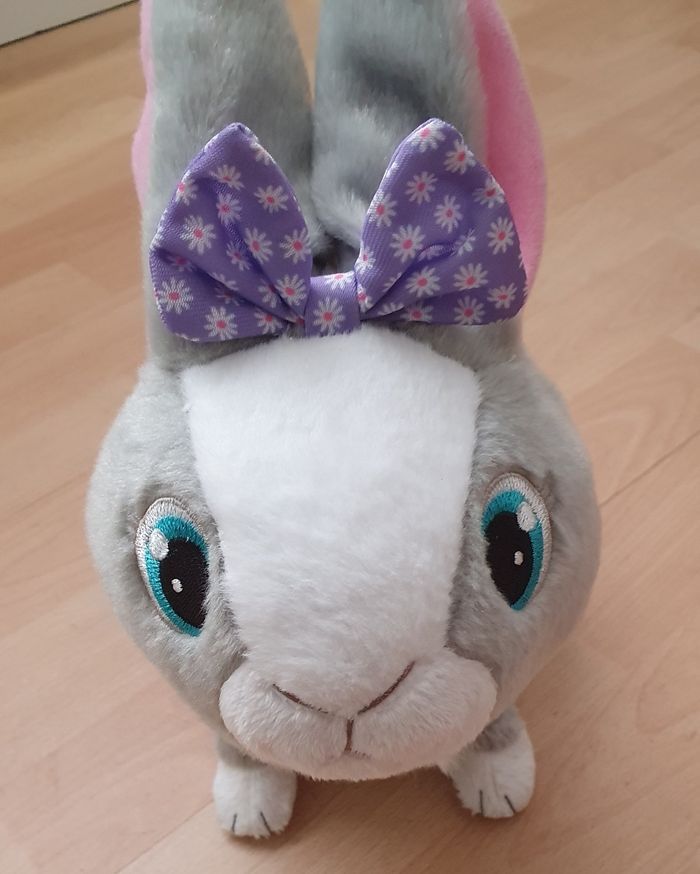 Lapin - photo numéro 2
