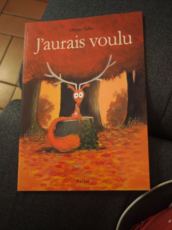 J'aurai voulu