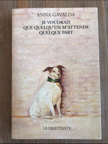 Anna Gavalda - je voudrais que quelqu’un