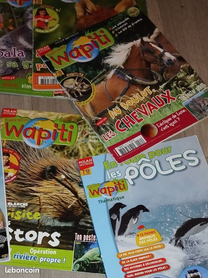 Lot de 7 magazines Wapiti année 2007-08 L023 - photo numéro 10