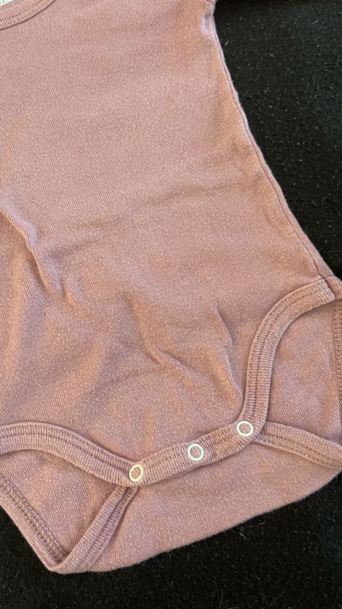 Bodie 3 mois - photo numéro 2