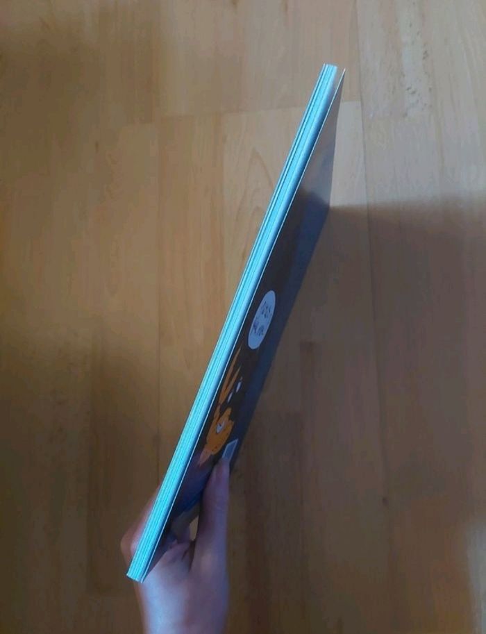 Livre "Les trois pires histoires de pirates " L'école des loisirs BE 🏴☠️ - photo numéro 3