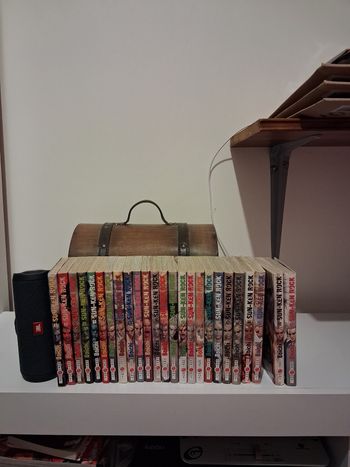 Manga Sun Ken Rock intégrale tome 1 au tome 25