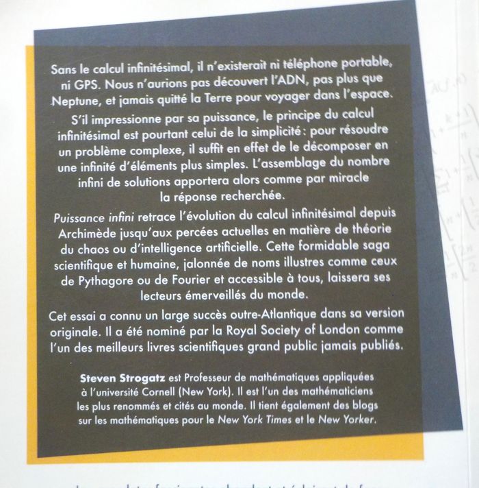 PUISSANCE INFINI (Calcul infinitésimal) par Steven STROGATZ - photo numéro 2