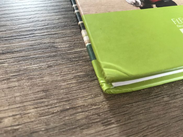 Livre « Une année au poney-club » Éditions Fleurus - photo numéro 7