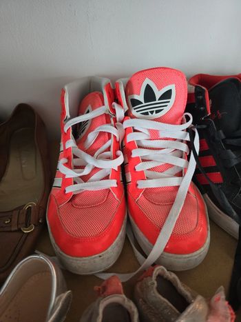 Adidas basket haute